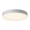 Потолочный светильник Bart CL755490 белый Citilux