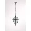 Стеклянный уличный светильник подвесной FARO-FROST L 91105fL Bl Oasis Light Стеклянный уличный светильник подвесной FARO-FROST L 91105fL Bl Oasis Light