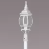 Стеклянный наземный фонарь  83408S W прозрачный Oasis Light