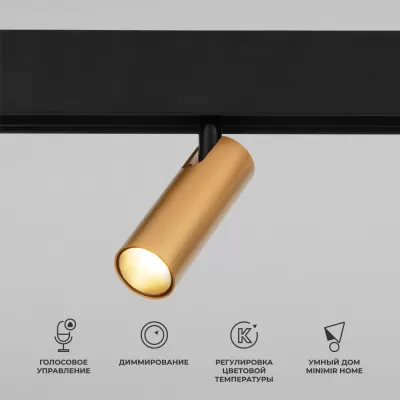 Трековый светильник Slim Magnetic 85070/01 Elektrostandard
