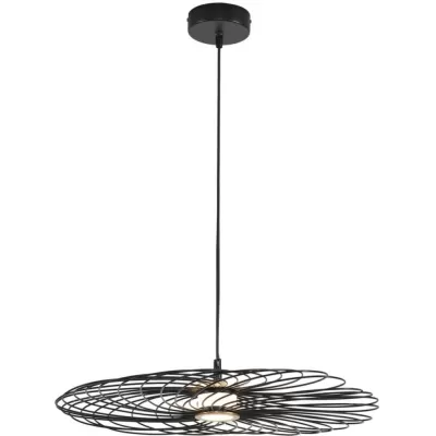 Подвесной светильник Camomile 8379/10L Lumion черный