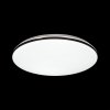Настенно-потолочный светильник Vaka 3042/DL белый Sonex