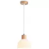 Стеклянный подвесной светильник Traditional TR83133 белый Ambrella