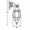 Стеклянный настенный фонарь уличный  83402S Gb прозрачный Oasis Light