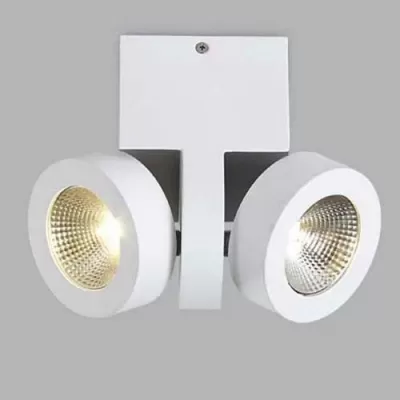Спот DL18698 DL18698/12WW-White карданный