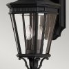 Стеклянный настенный фонарь уличный Cotswold Lane FE-COTSLN2-M-BK прозрачный Feiss