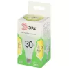 Лампочка светодиодная  LED A65-30W-830-E27 GL ЭРА