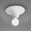 Настенно-потолочный светильник Teti A048120 Artemide