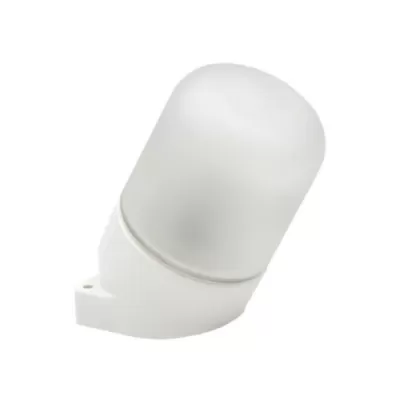 Настенно-потолочный светильник НББ 01-60-102 53165 Feron