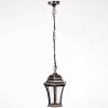 Стеклянный уличный светильник подвесной  91305L Gb прозрачный Oasis Light