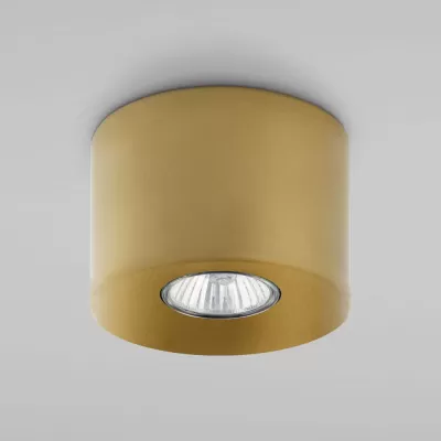 Потолочный светильник Orion 3199 TK Lighting