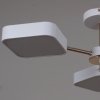 Потолочная люстра  03360-0.3-05 WH+FGD белая