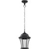 Стеклянный уличный светильник подвесной ASTORIA 1 L 91305L Bl прозрачный Oasis Light