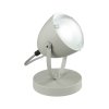 Интерьерная настольная лампа Belko 3669/1T серый Lumion