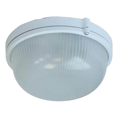 Настенно-потолочный светильник  НБП 03-100-001 ЭРА для бань и саун