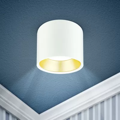 Точечный светильник OL8 GX53 WH/GD OL8 GX53 WH/GD ЭРА