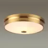 Стеклянный настенно-потолочный светильник Marsei 4824/4C белый Odeon Light