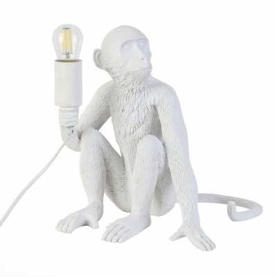 Интерьерная настольная лампа Tenato SLE115104-01 Evoluce