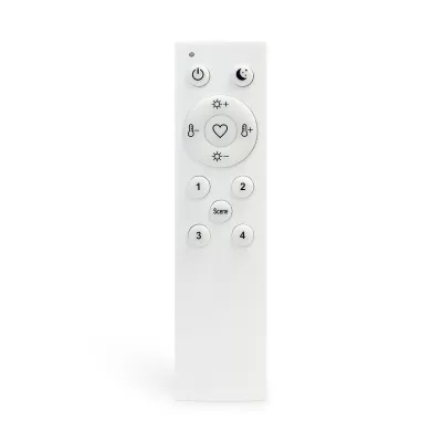 Пульт управления Skyline 220 ST015.500.98 ST Luce