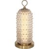 Стеклянный интерьерная настольная лампа Saguaro SL6144.304.01 ST Luce