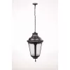 Стеклянный уличный светильник подвесной  79755L Bl прозрачный Oasis Light