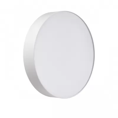 Настенно-потолочный светильник Optima 7779/DLN Sonex