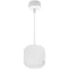 Подвесной светильник  53006-0.9-001LD GX53 WT цилиндр белый