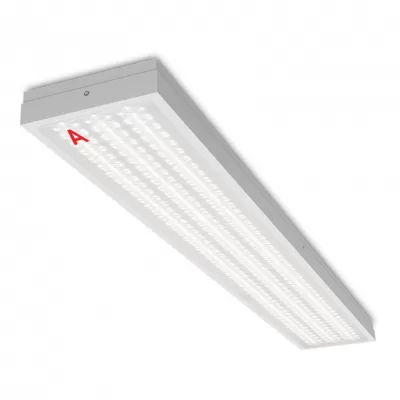 Светодиодная панель STD ДПО13-54-142-5К Wolta