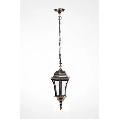 Уличный светильник подвесной ASTORIA 1 L 91305L cover Gb Oasis Light