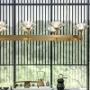 Стеклянная подвесная люстра  LOTOS-LONG01 прозрачная ImperiumLoft