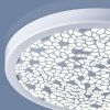 Потолочный светильник  9913 LED 6W WH белый белый Elektrostandard