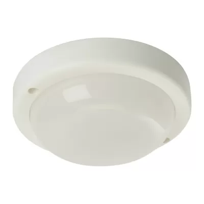 Настенно-потолочный светильник AL3008 48996 Feron