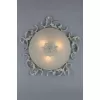 Потолочный светильник Palermo OML-76417-03 Omnilux