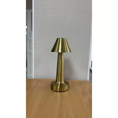 Интерьерная настольная лампа TL2L 000080552
