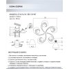 Стеклянная потолочная люстра Nuala SF3372/5C-BK-CR-WT конус белая Seven Fires