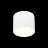 Точечный светильник Rene ST113.532.09 цилиндр белый ST Luce