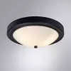 Стеклянный потолочный светильник James A4049PL-3BK белый Artelamp