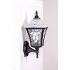 Стеклянный настенный фонарь уличный VENECIA 2L 91801L/04 Bl белый Oasis Light