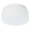 Стеклянный настенно-потолочный светильник Tablet A7720PL-1WH белый Artelamp