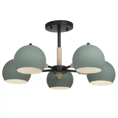 Потолочная люстра Trisha FR5032CL-05B Freya