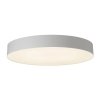 Потолочный светильник Bart CL755490 белый Citilux