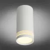 Точечный светильник 100 OML-100809-01 цилиндр белый Omnilux
