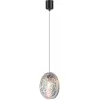Стеклянный подвесной светильник Mussels 5039/1 прозрачный Odeon Light