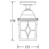 Стеклянный потолочный светильник уличный TALLIN 1L 64305A Gb прозрачный Oasis Light