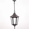 Стеклянный уличный светильник подвесной 79705L Bl прозрачный Oasis Light Стеклянный уличный светильник подвесной 79705L Bl прозрачный Oasis Light
