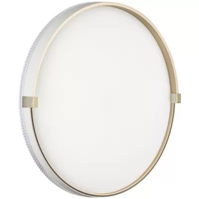 Настенно-потолочный светильник Olidi White 7646/DL Sonex