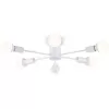 Потолочная люстра Traditional TR80401 Ambrella