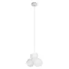 Стеклянный подвесной светильник Cluster 10467P White белый Loft It