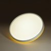 Настенно-потолочный светильник Kezo Yellow 7709/DL белый Sonex