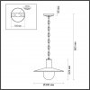Уличный светильник подвесной Furcadia 4833/1 форма шар прозрачный Odeon Light